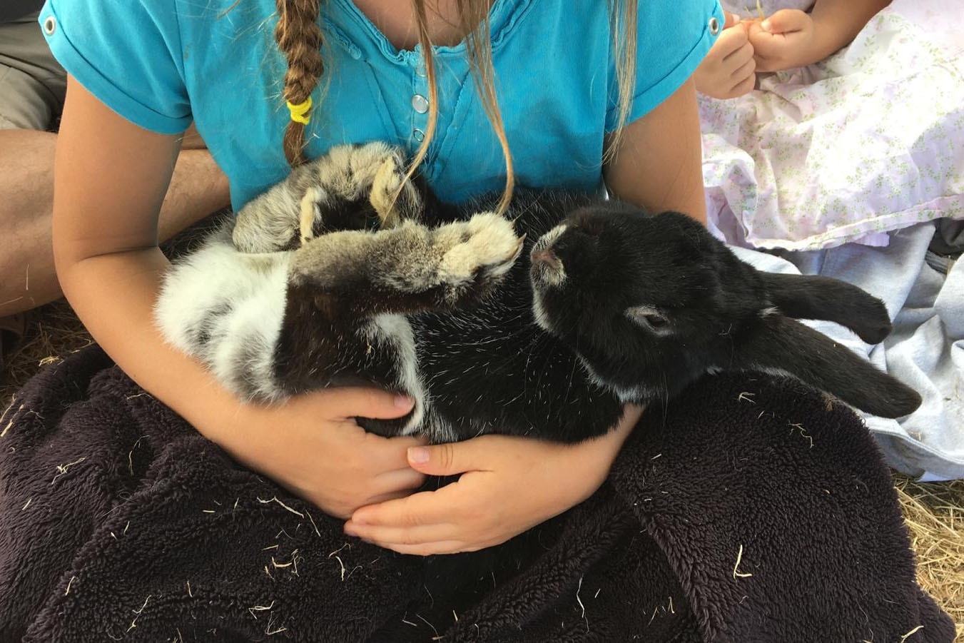 Camping Ferme Pédagogique de Prunay
