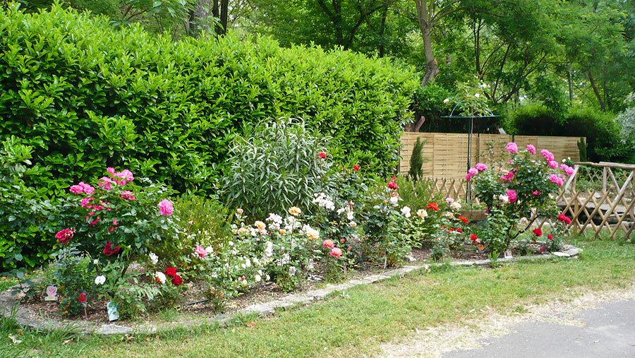 Camping Le Fief d'Anduze