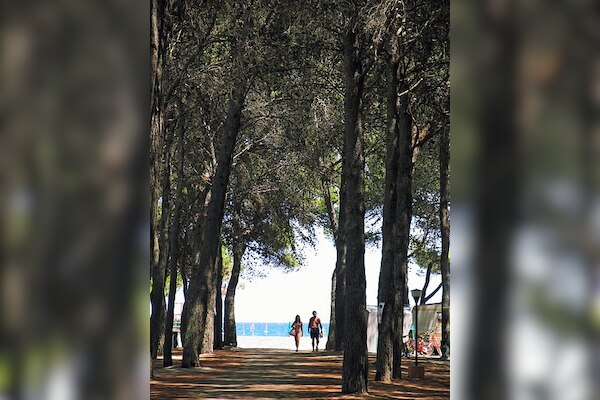 Camping-Village Pineta di Sibari