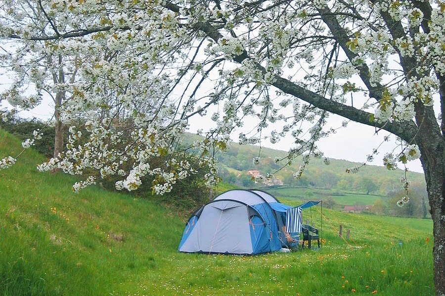 Flower Camping du Lac de Saint-Point Lamartine