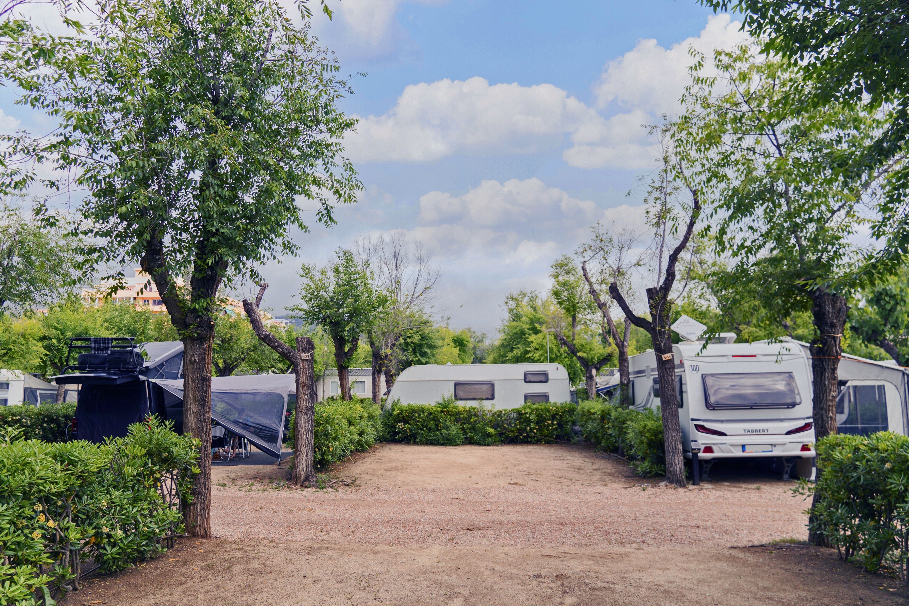 Camping Sènia Caballo de Mar