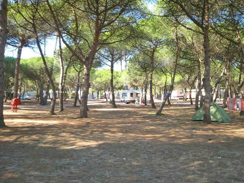 Camping La Tamarissière
