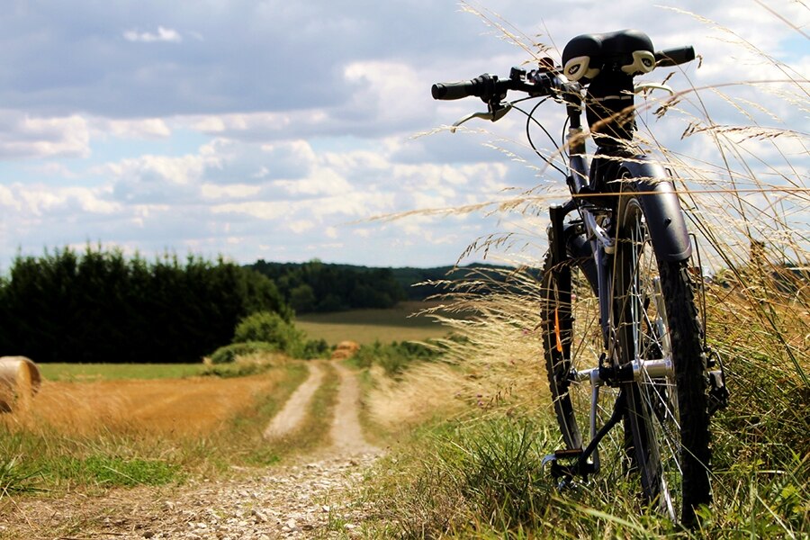 Flower Camping La Samaritaine