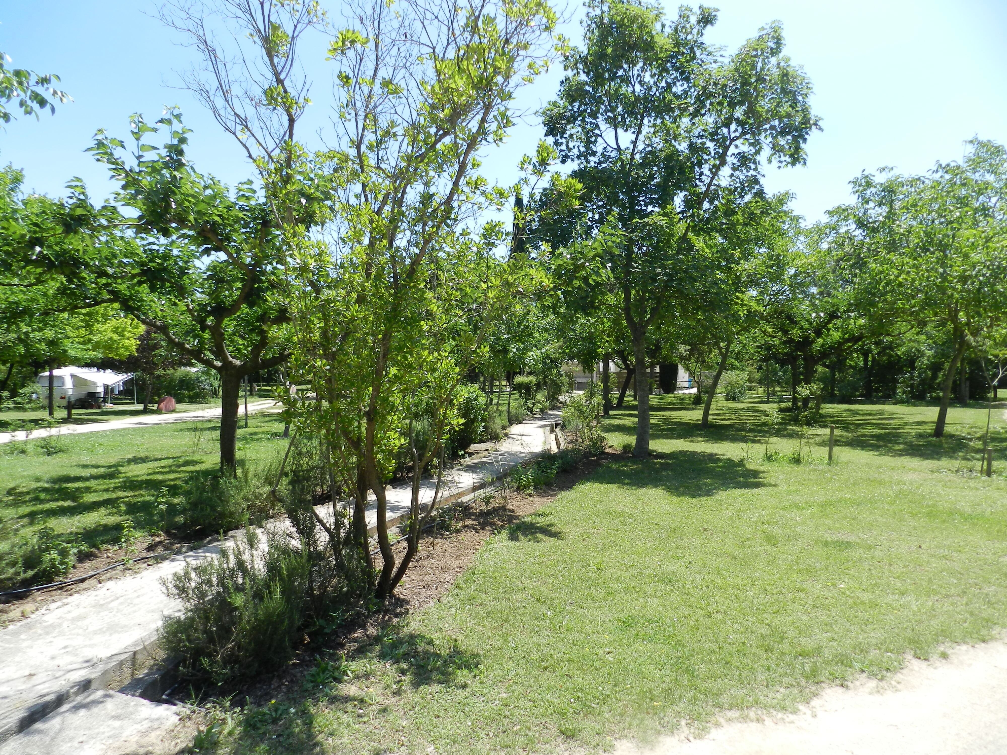 Camping Can Coromines