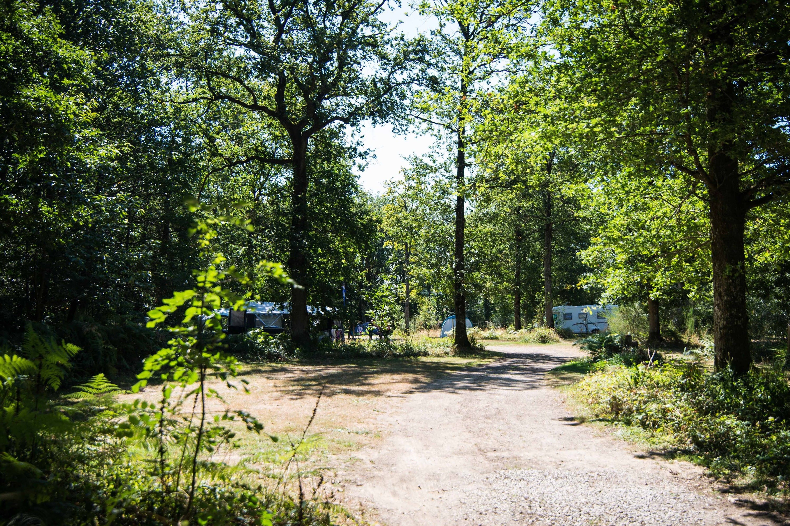 Camping Du Bois de St. Hilaire