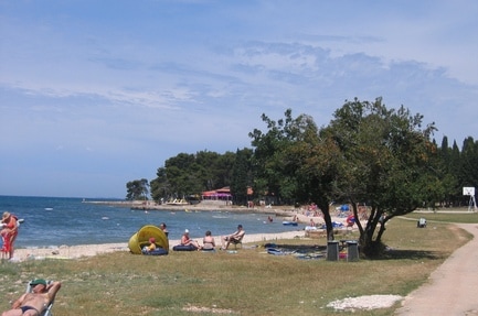 Camping Pineta