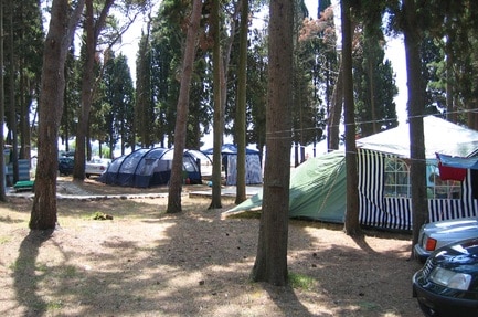 Camping Pineta