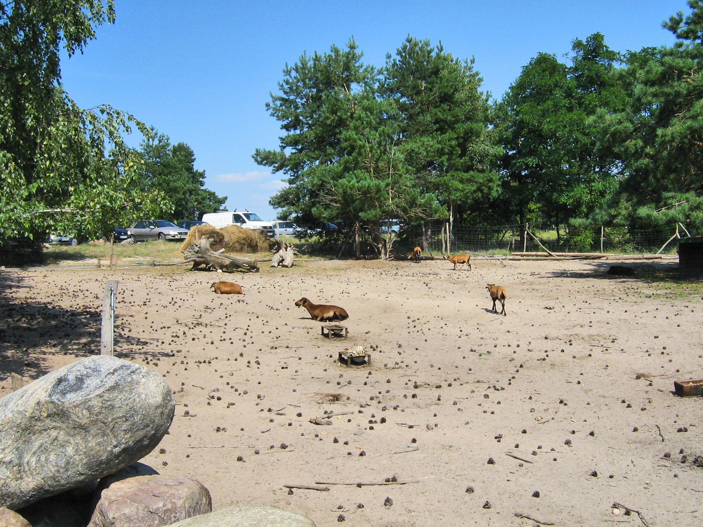 Spreewald-Natur Camping "Am See"