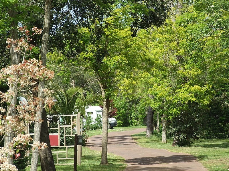 Camping Le Sous Bois