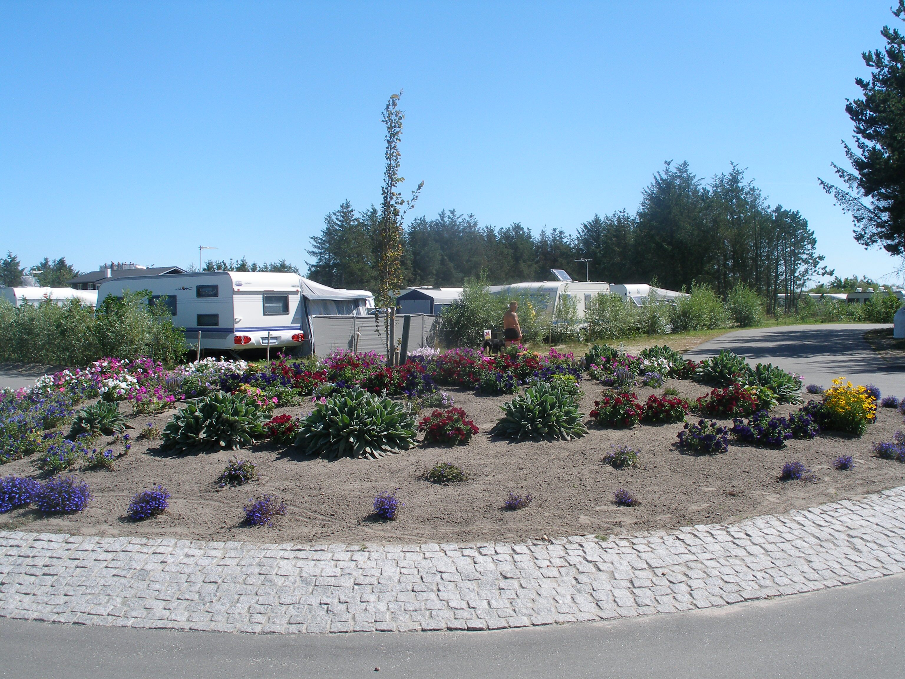 Løkken Klit Camping