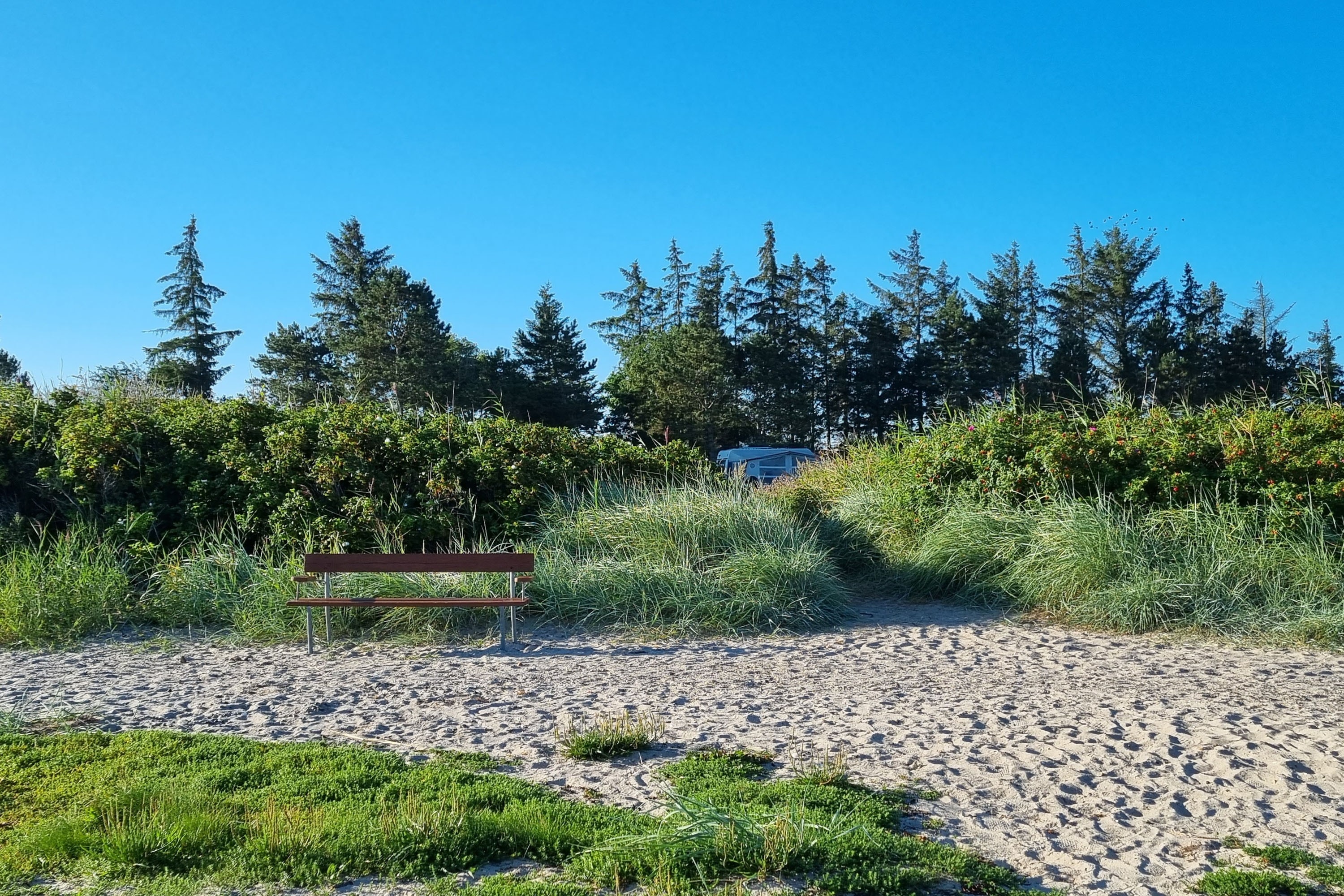 Hvalpsund Familie Camping