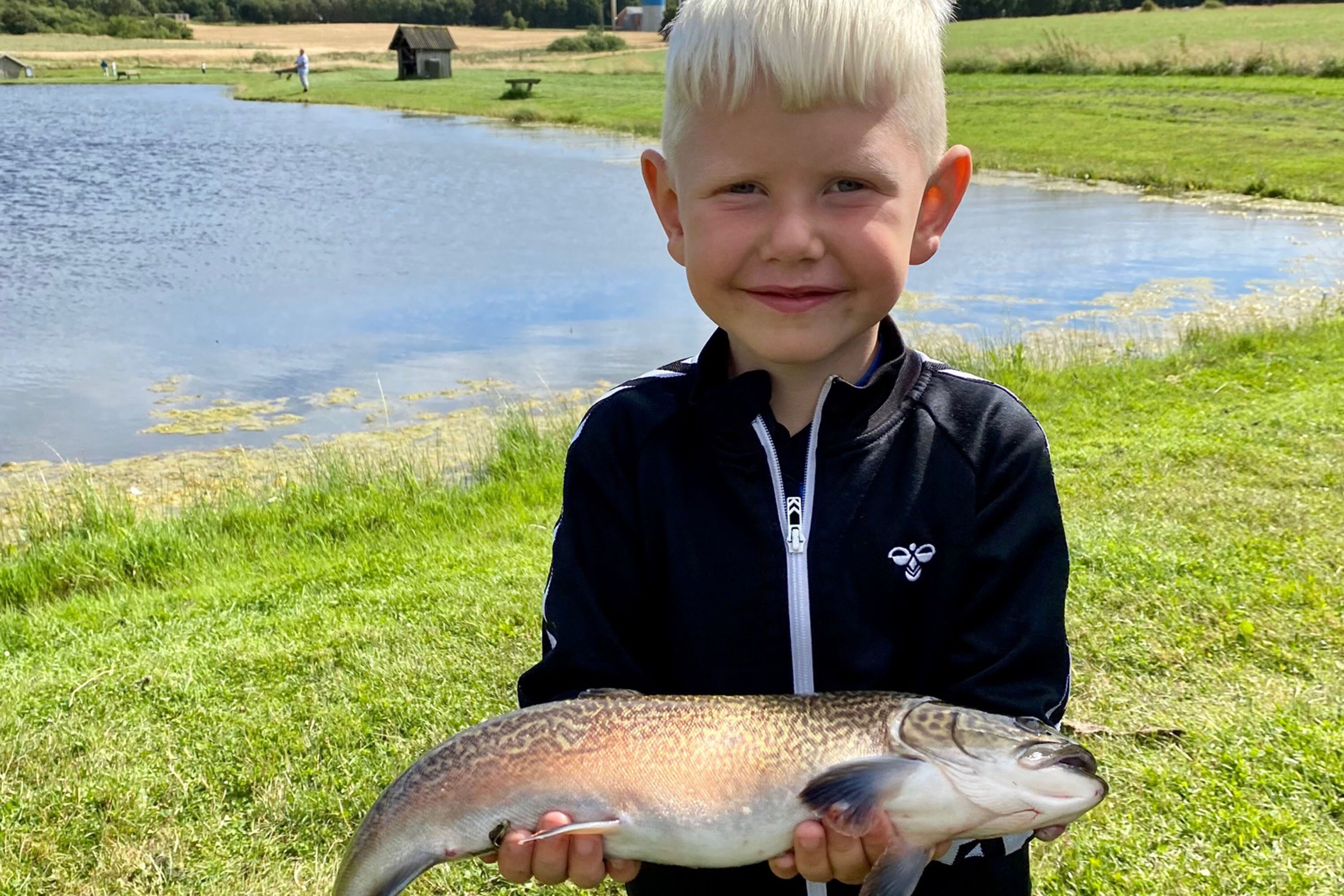 Hvalpsund Familie Camping