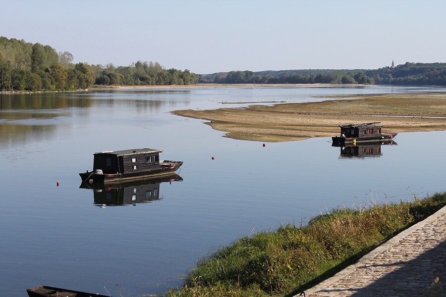 Flower Camping Du Port Caroline