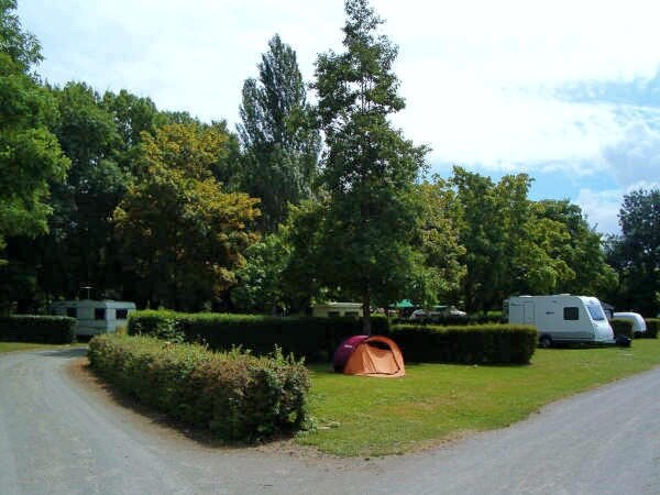 Flower Camping Du Port Caroline