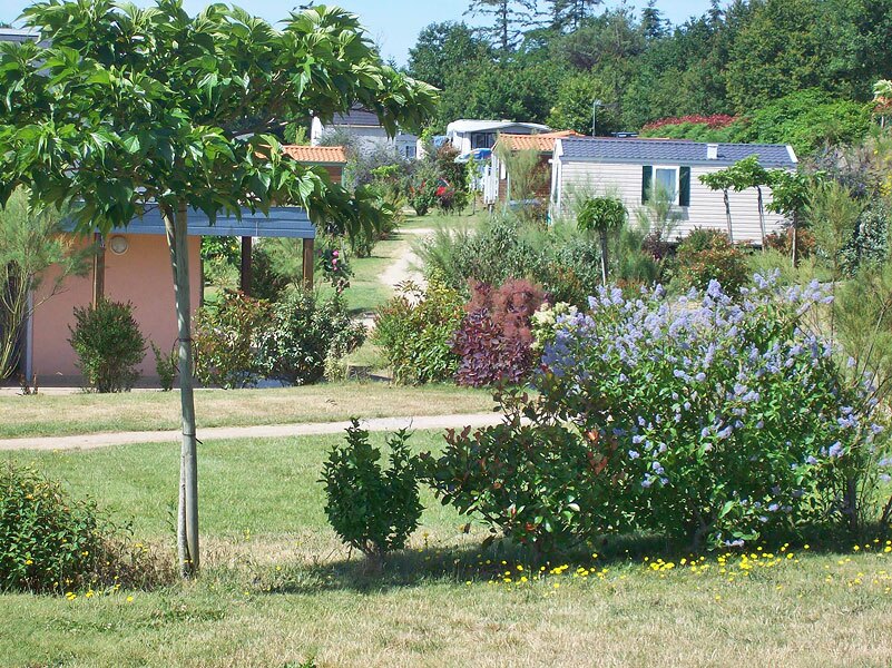 Camping Au Bois du Cé