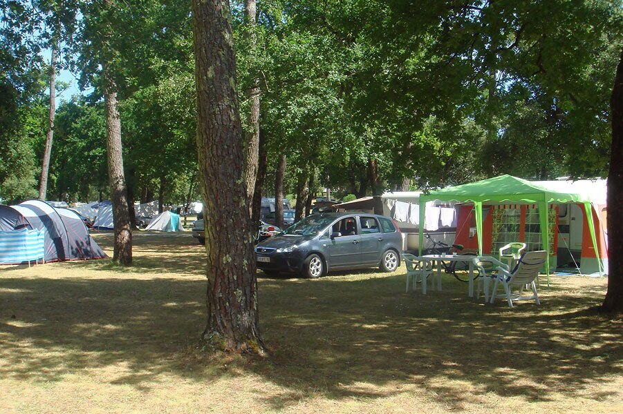 Camping La Palombière