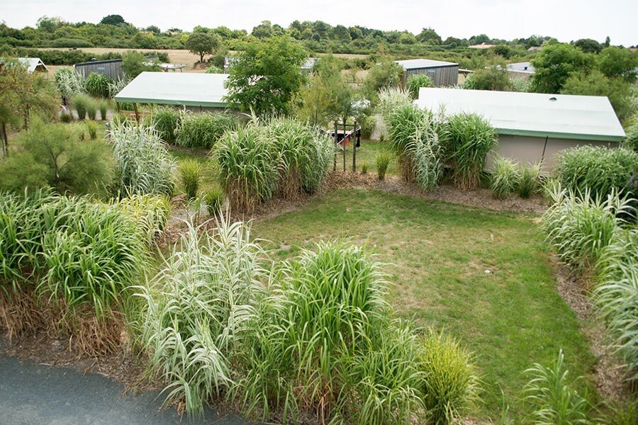 Flower Camping Le Petit Paris