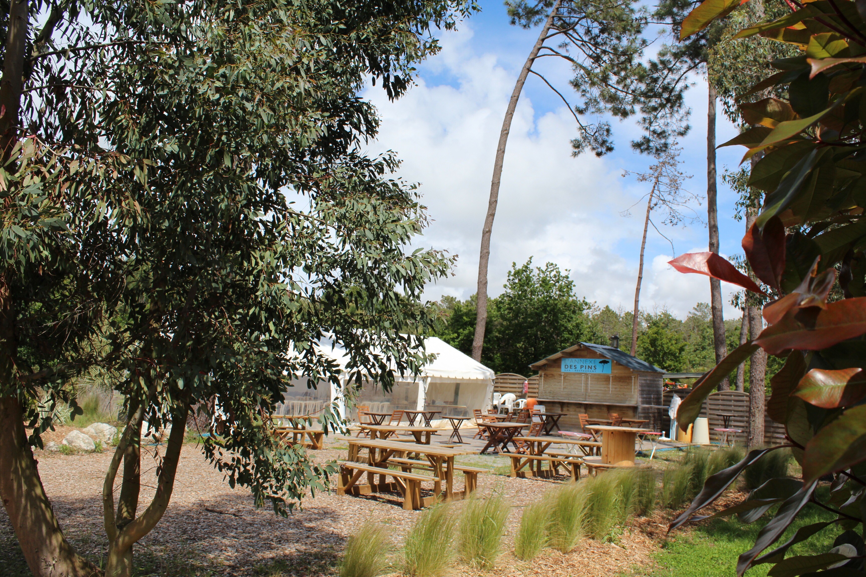 Camping Paradis des Pins-Soulac