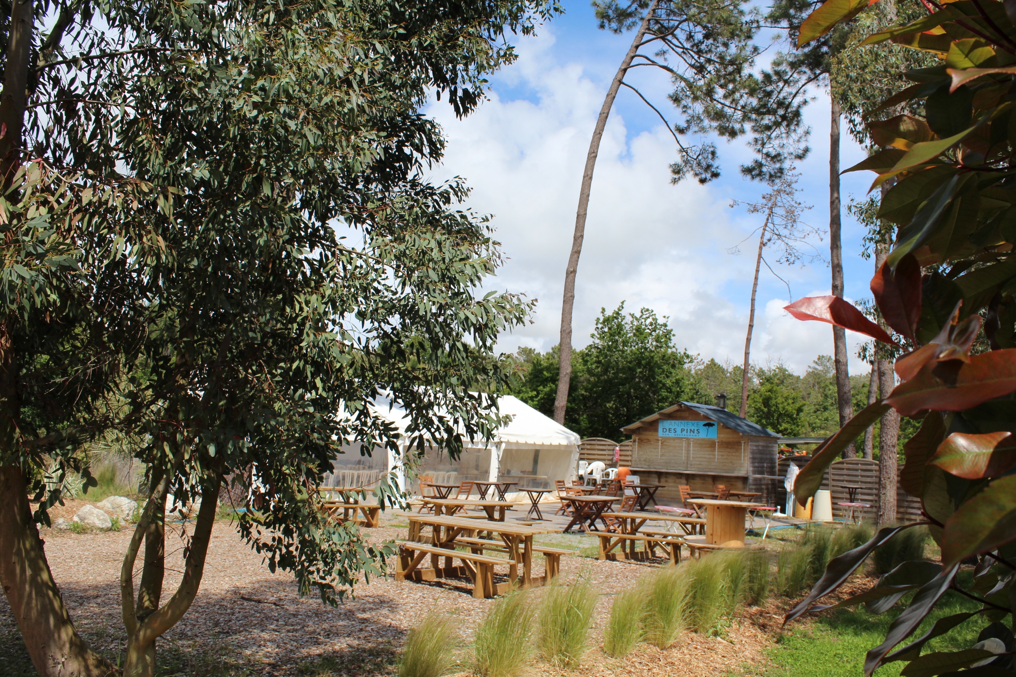 Camping Paradis des Pins-Soulac