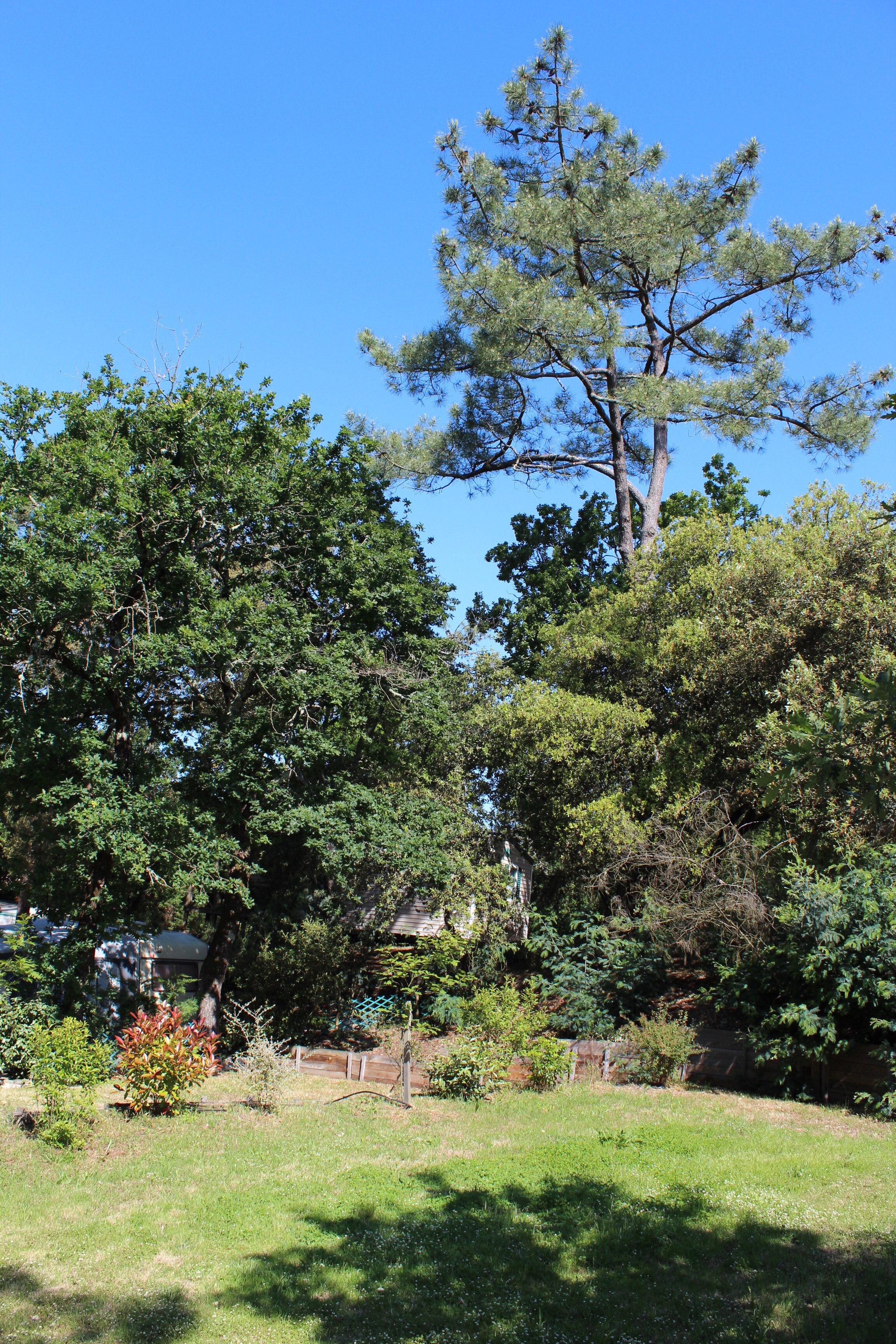 Camping Paradis des Pins-Soulac