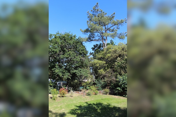 Camping Paradis des Pins-Soulac