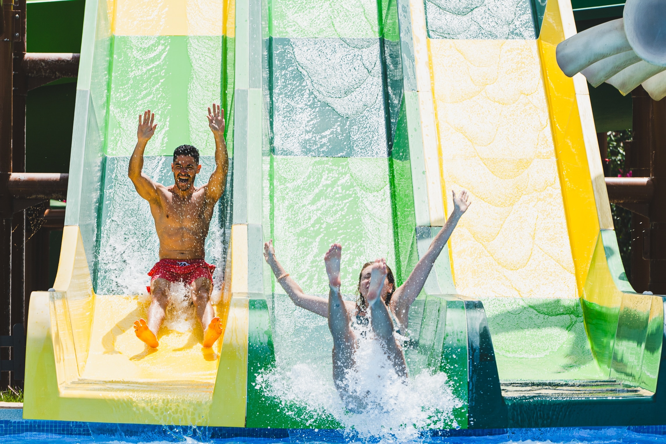 Devesa Gardens by Samay