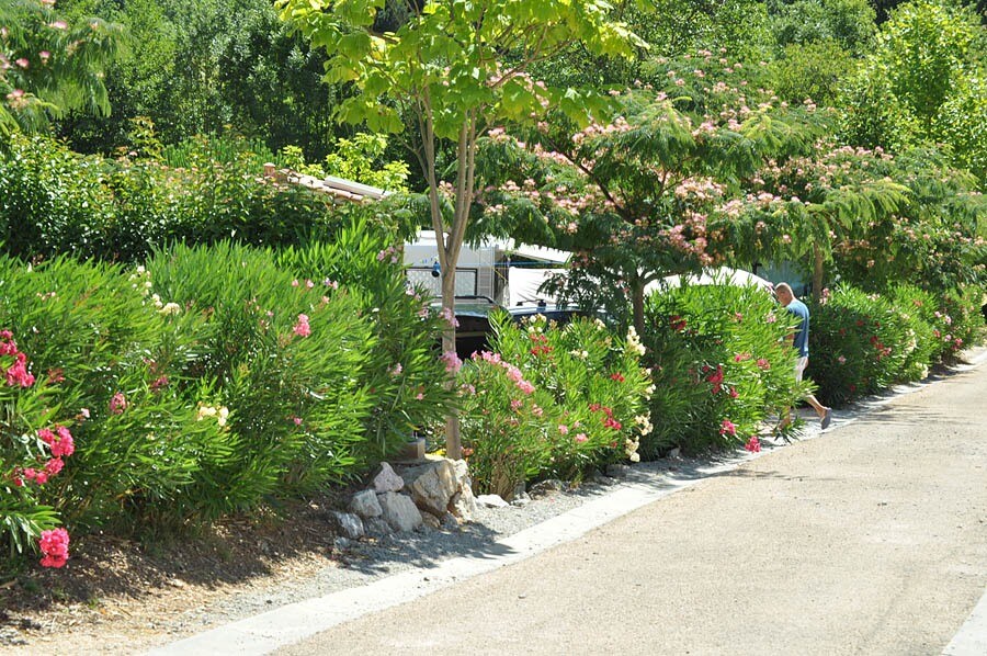 Camping Les Cerisiers du Jaur