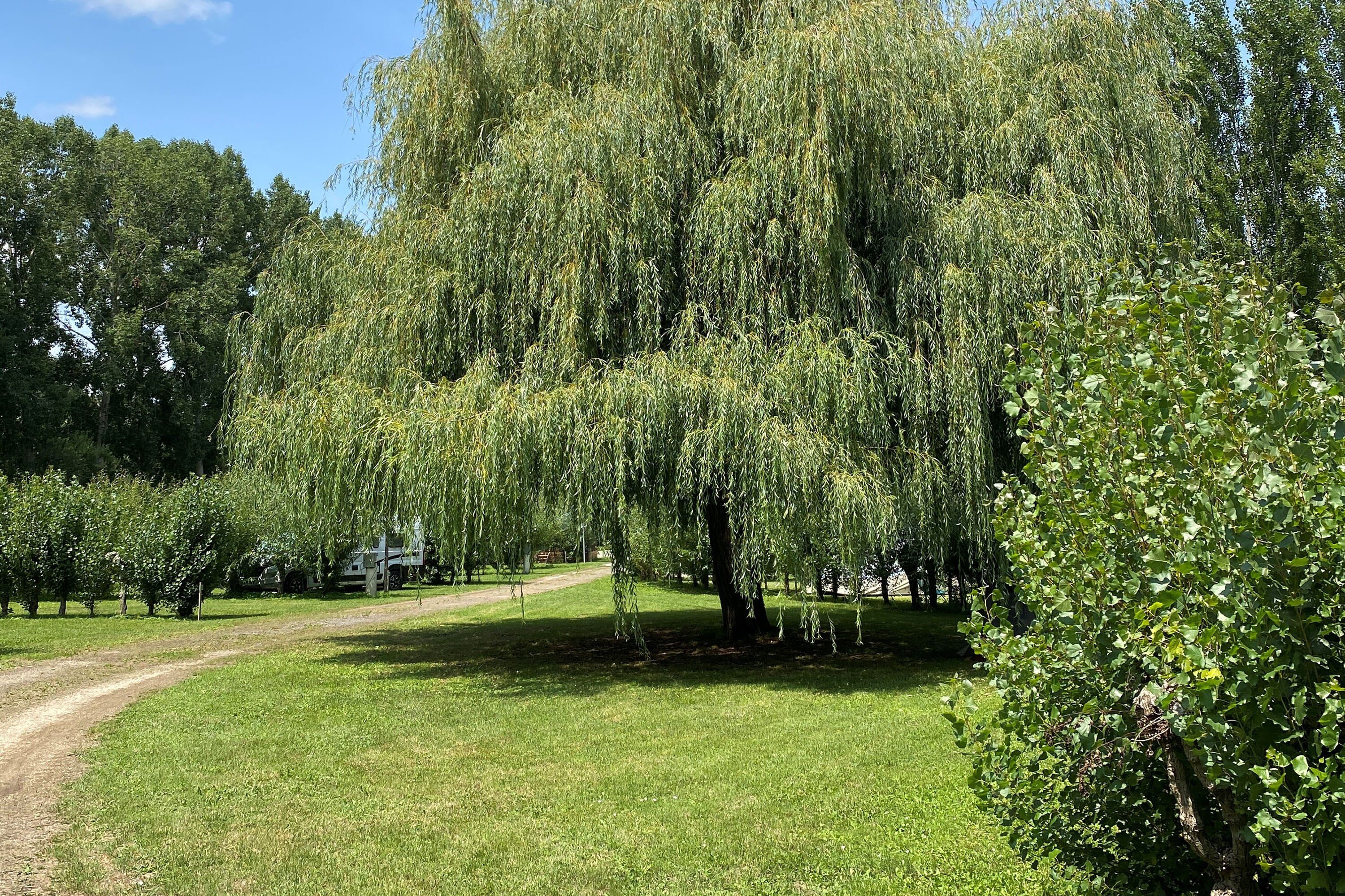 Camping Le Marais Sauvage