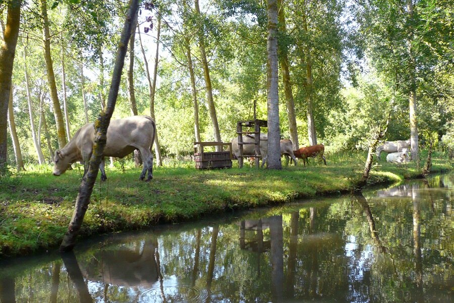 Camping L'Île Cariot