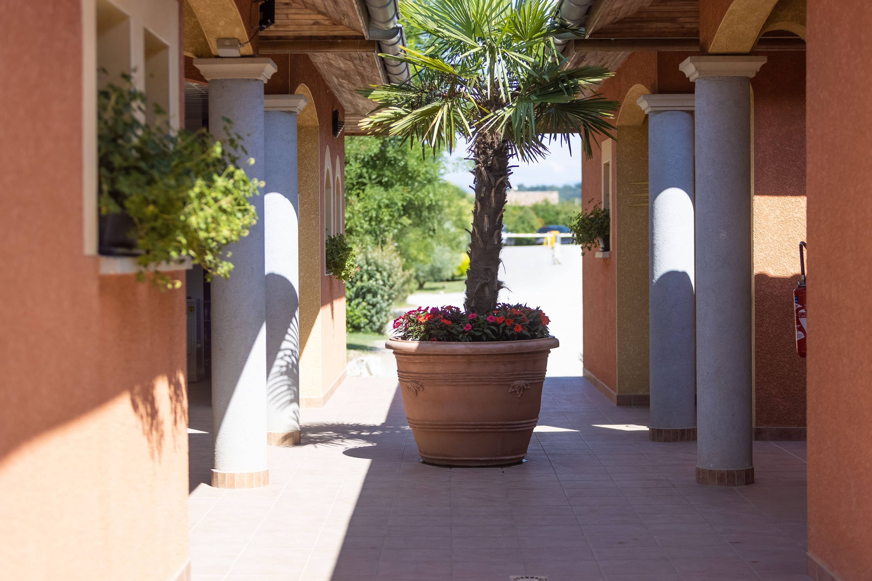 Camping Le Soleil Fruité