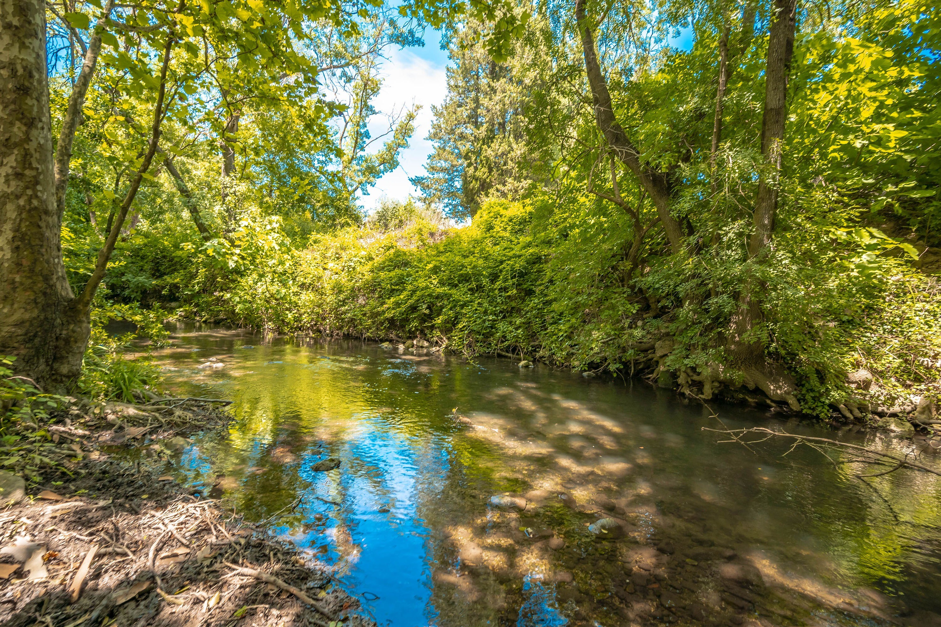 Flower Camping Les Tomasses