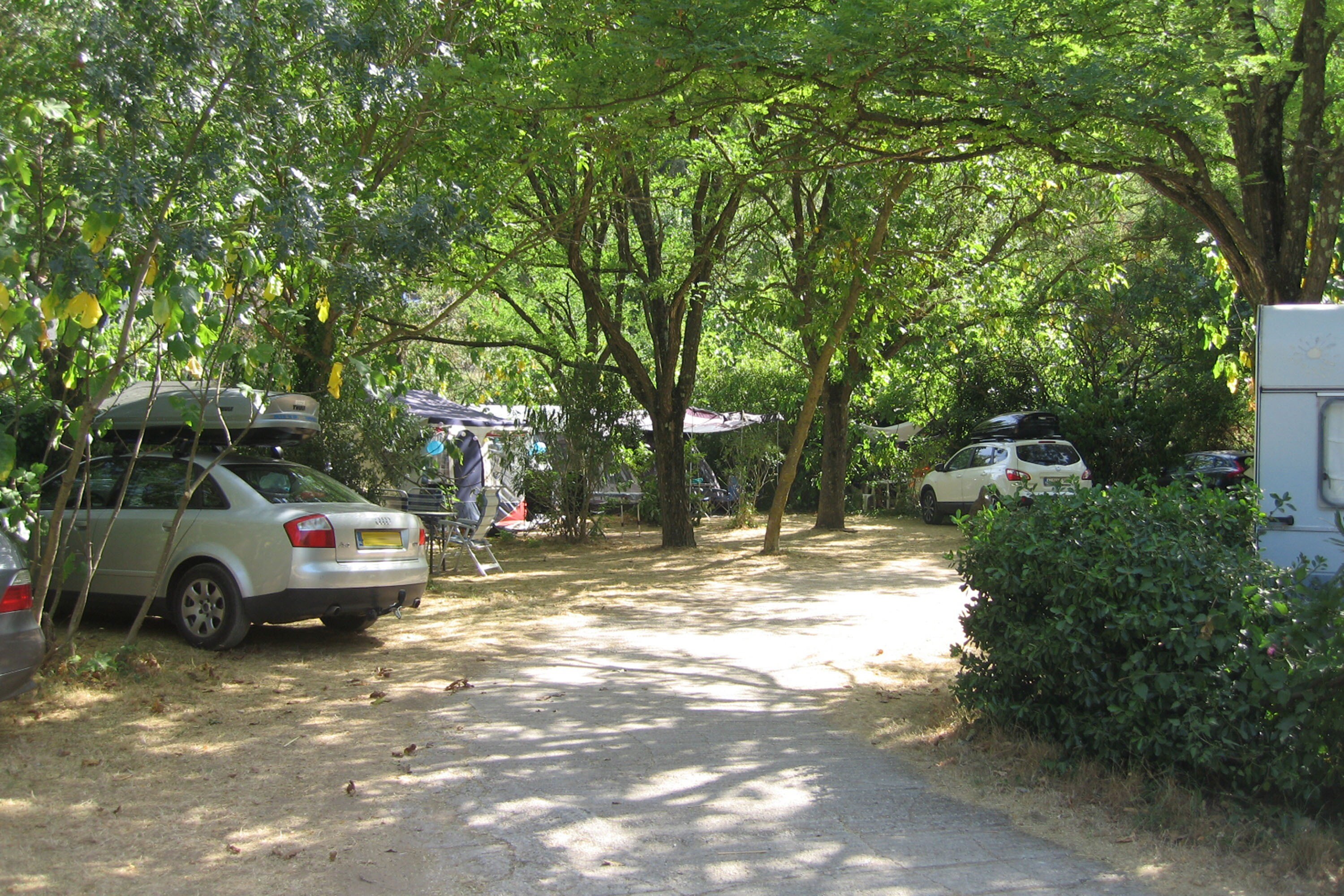 Flower Camping Les Tomasses