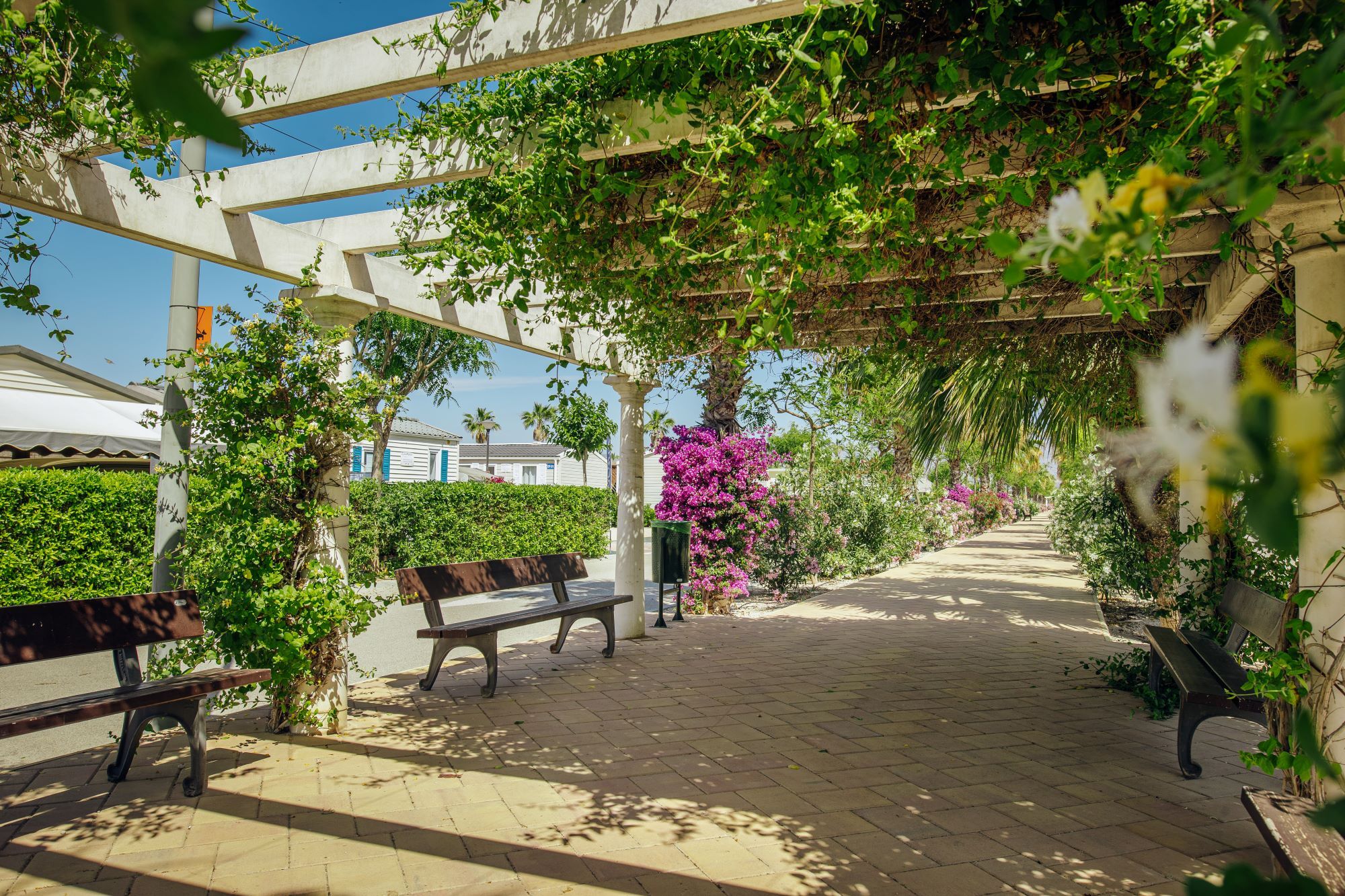 Alannia Costa Blanca