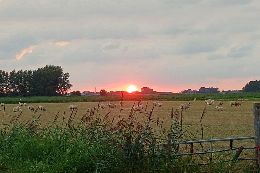 Camping De Blikvaart