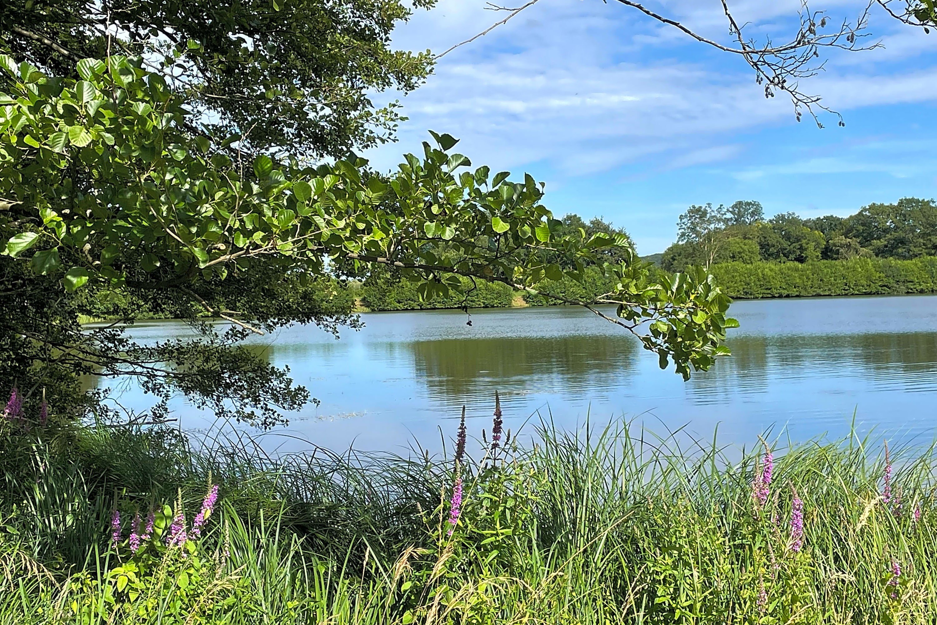 Camping La Croix du Bois Sacker