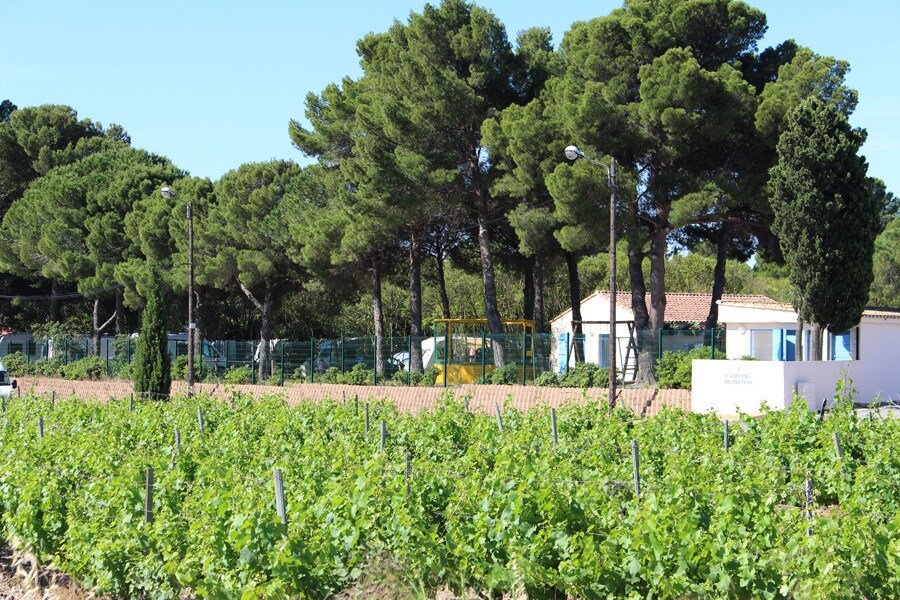 Camping Municipal de Loupian