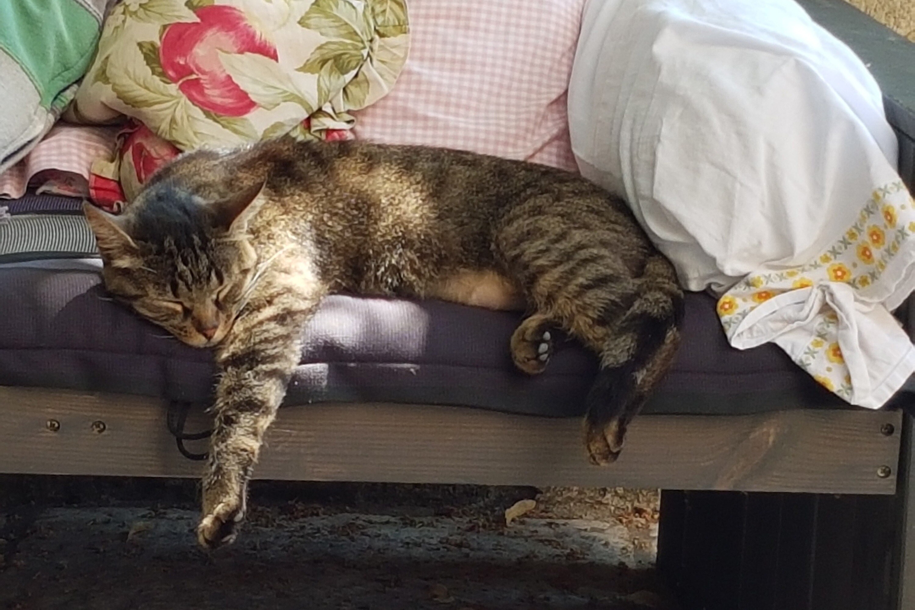 Camping La Ferme de Clareau