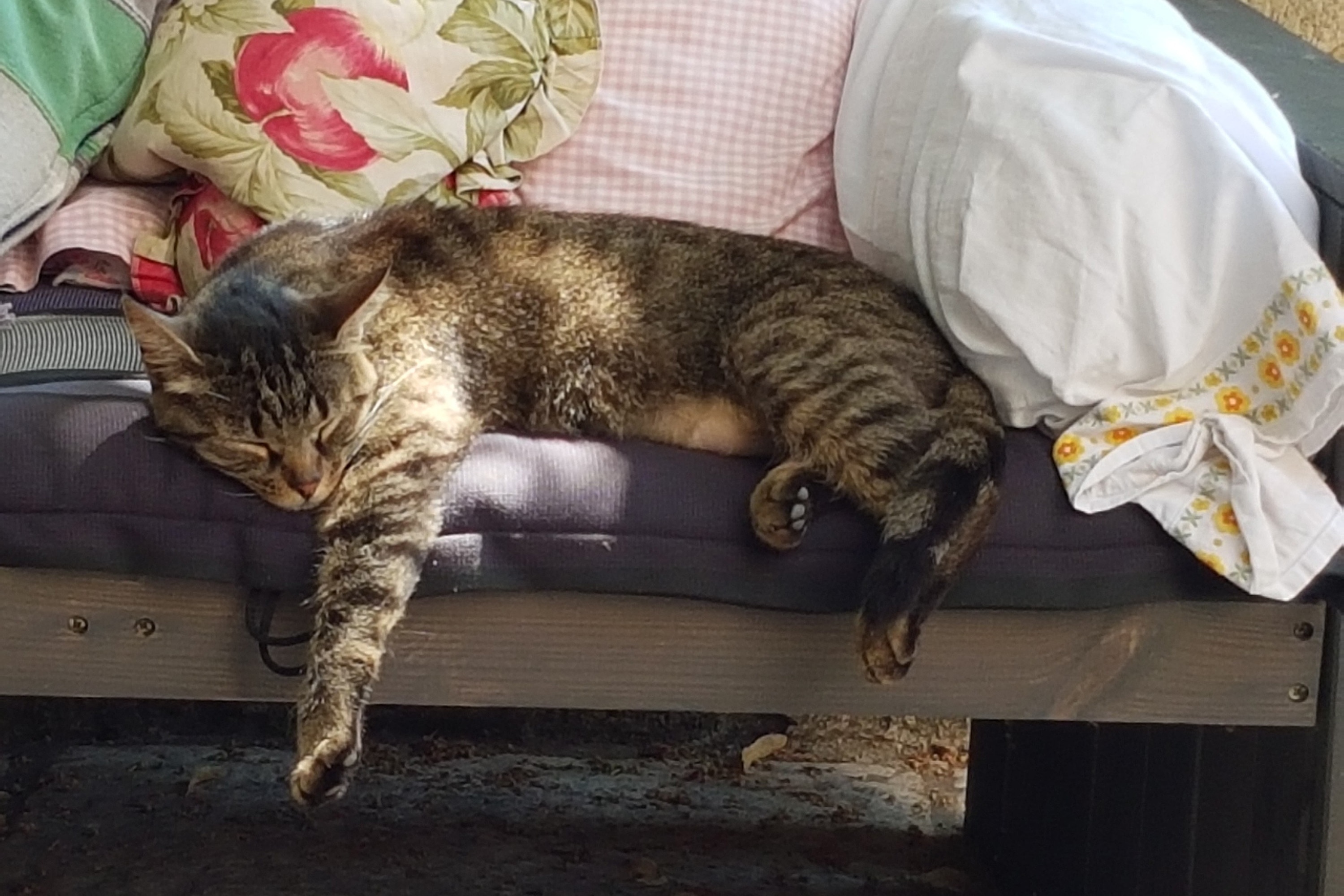 Camping La Ferme de Clareau