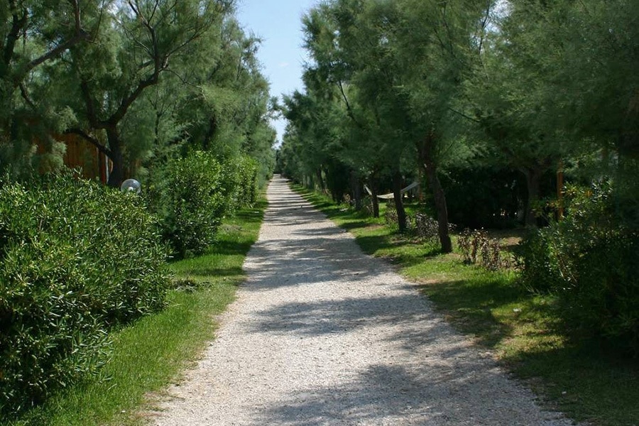 Torre Rinalda Beach Camping & Resort