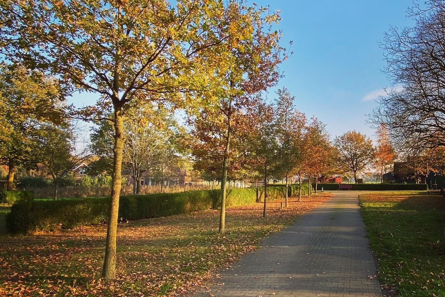 Camping Groot Antink