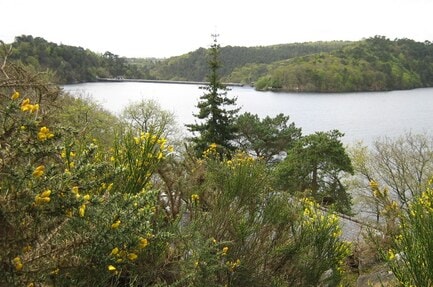 Camping Le Point de Vue de Guerlédan