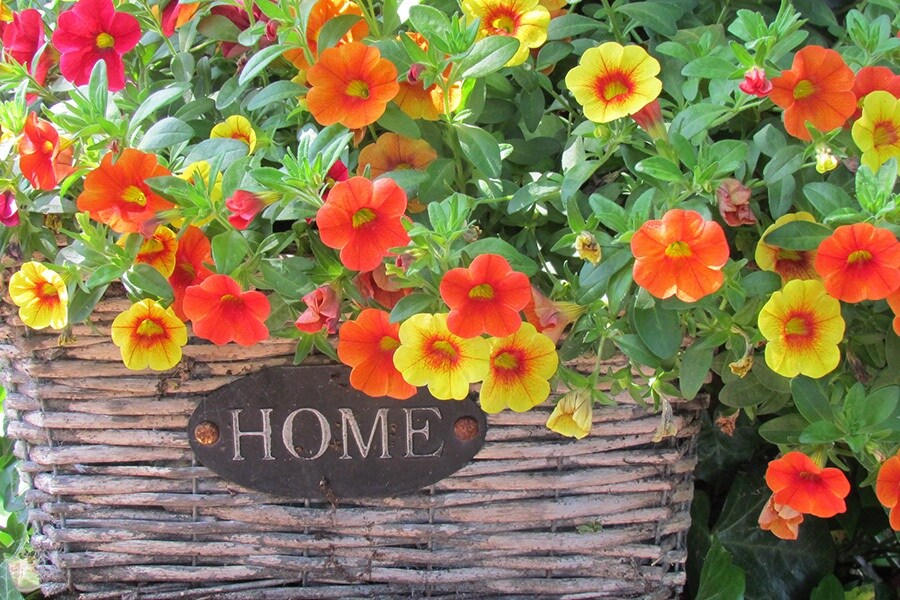 Camping De Ganzenhof