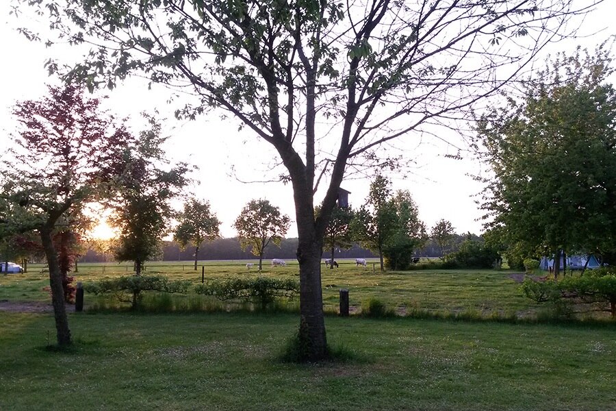 Camping De Ganzenhof