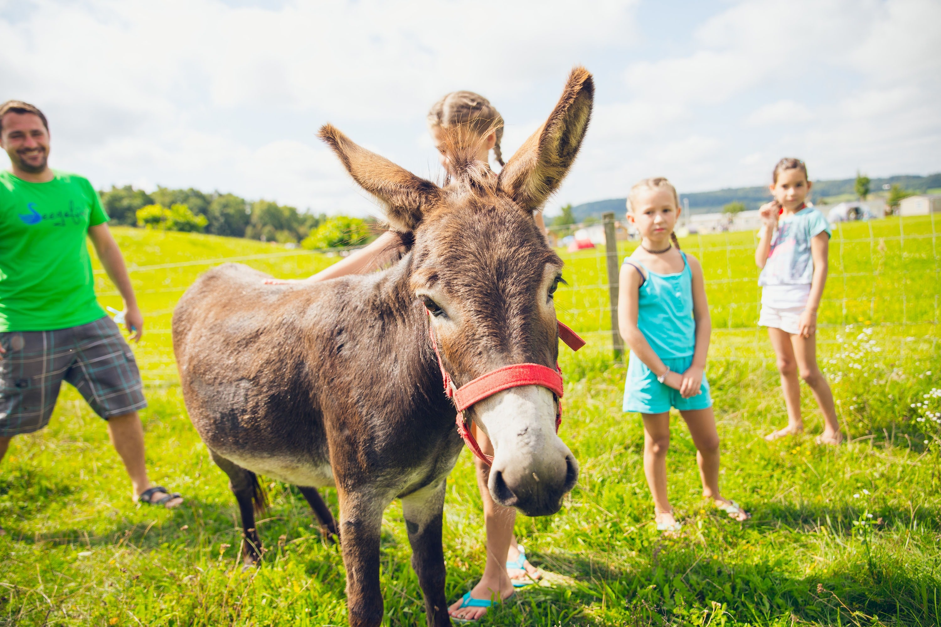 Camping und Ferienpark Orsingen
