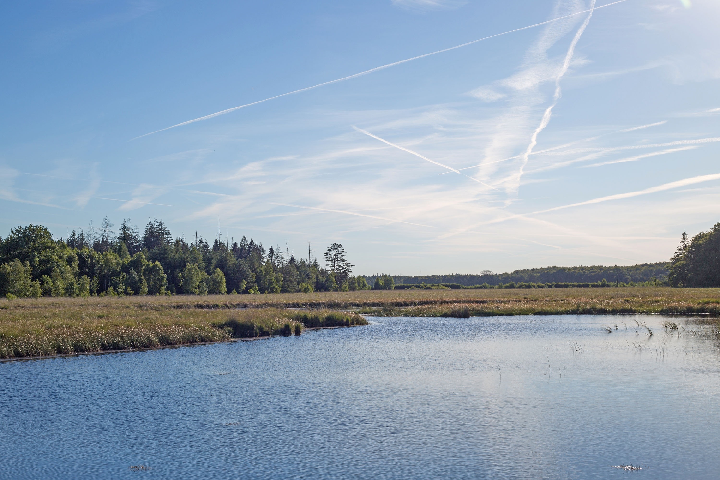 Camping Roeloomskamp