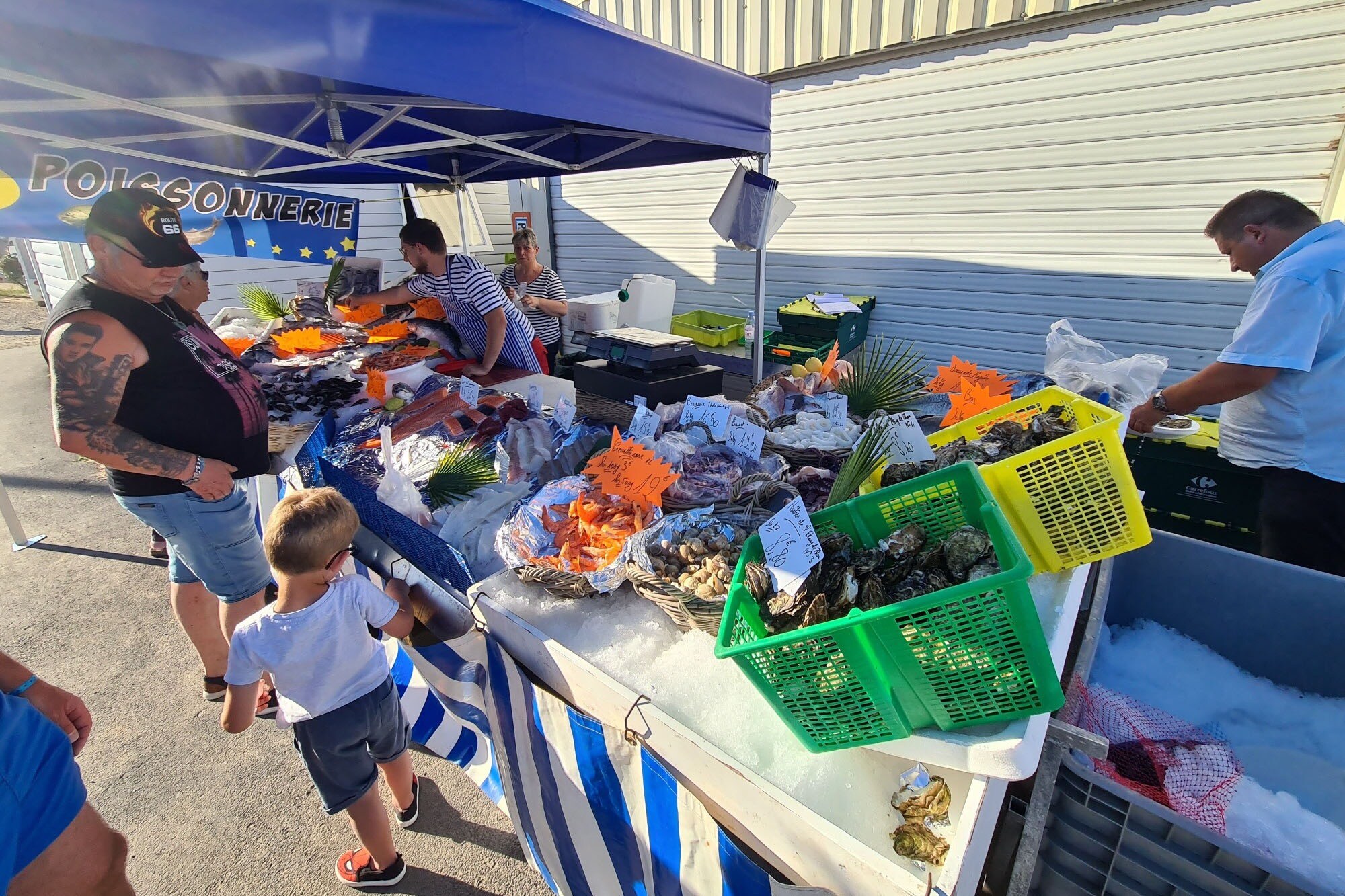 Camping Paradis Robinson