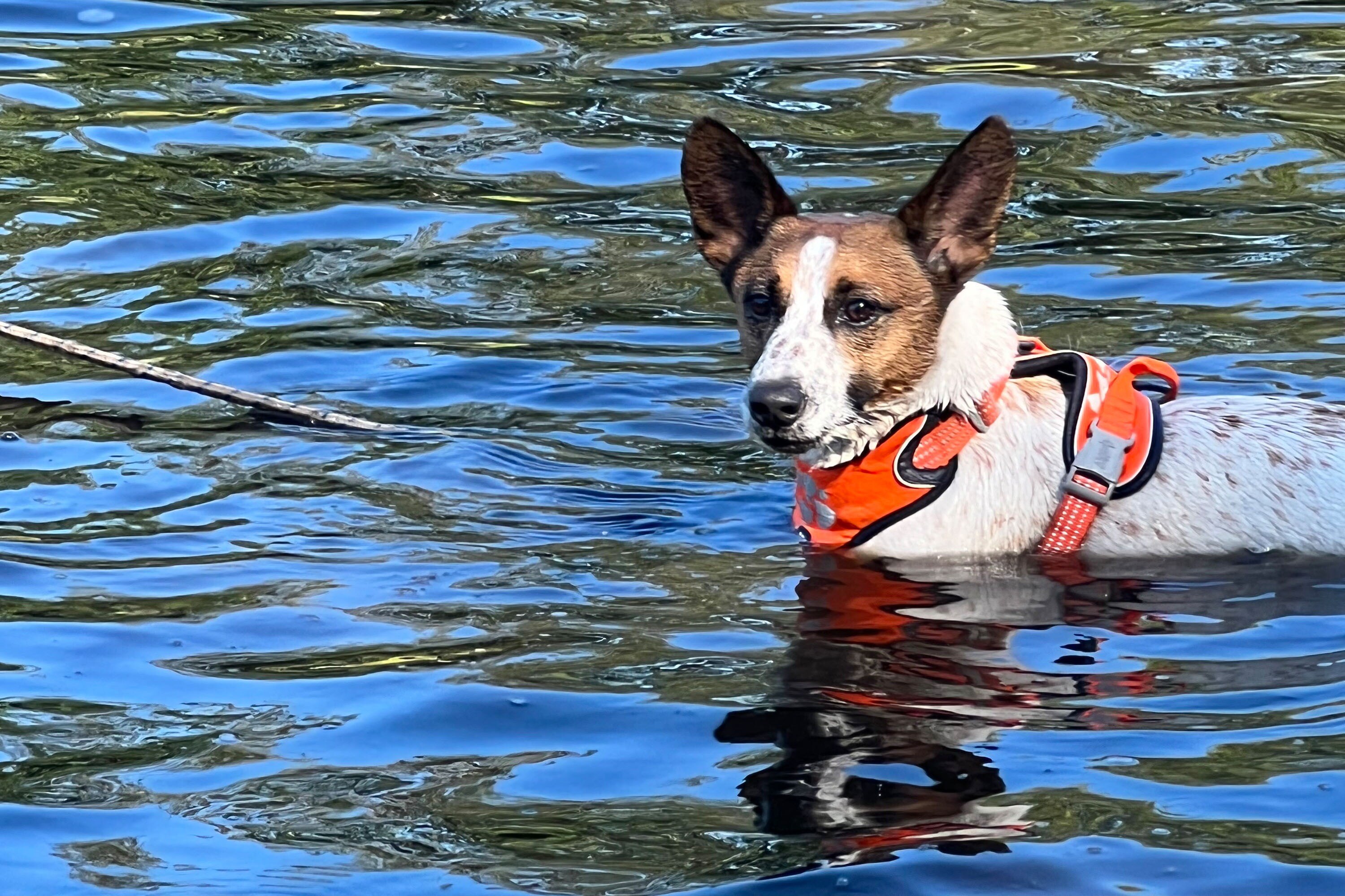 Vakantiepark De Toffe Peer