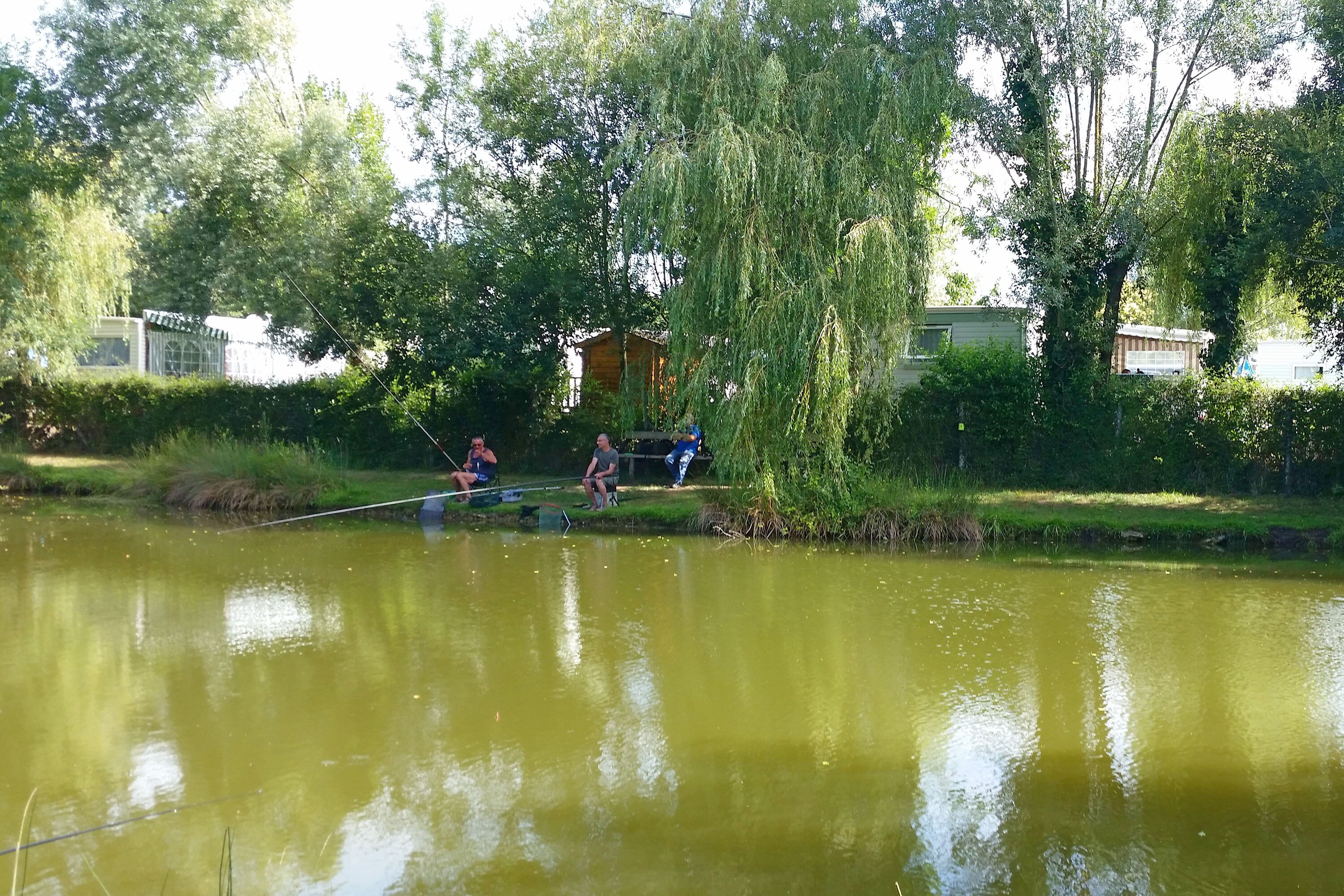 Camping Paradis Domaine de Bellevue