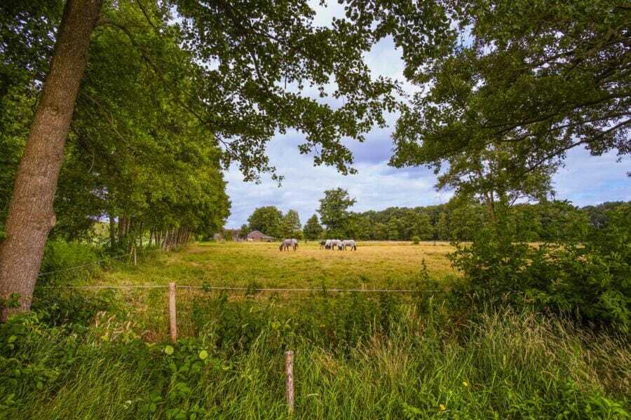 Museumboerderij Mariahoeve