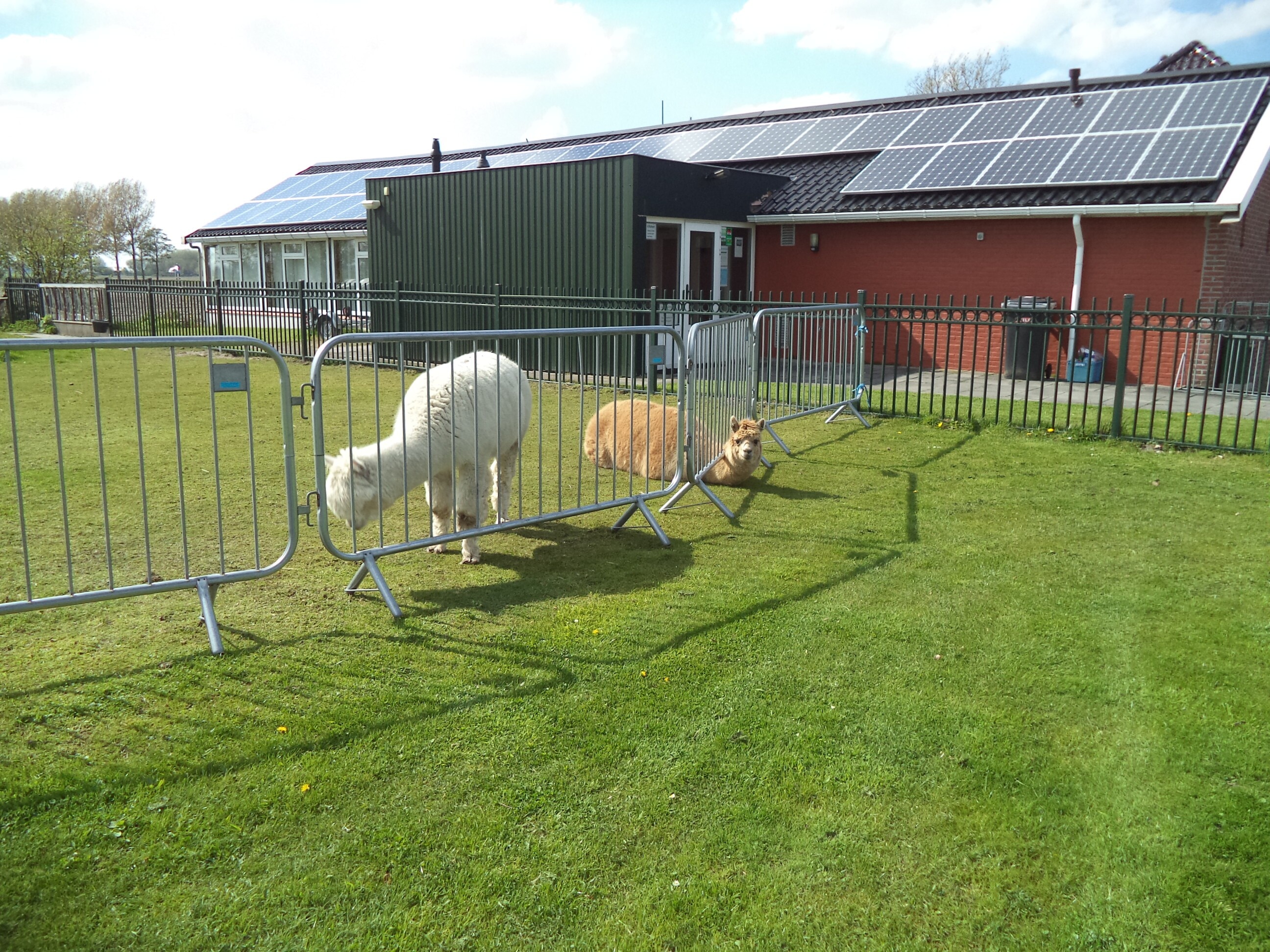 Camping & Jachthaven Aduarderzijl